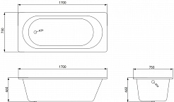 Timo Чугунная ванна Sofia 170x75x46 с ручками – фотография-4